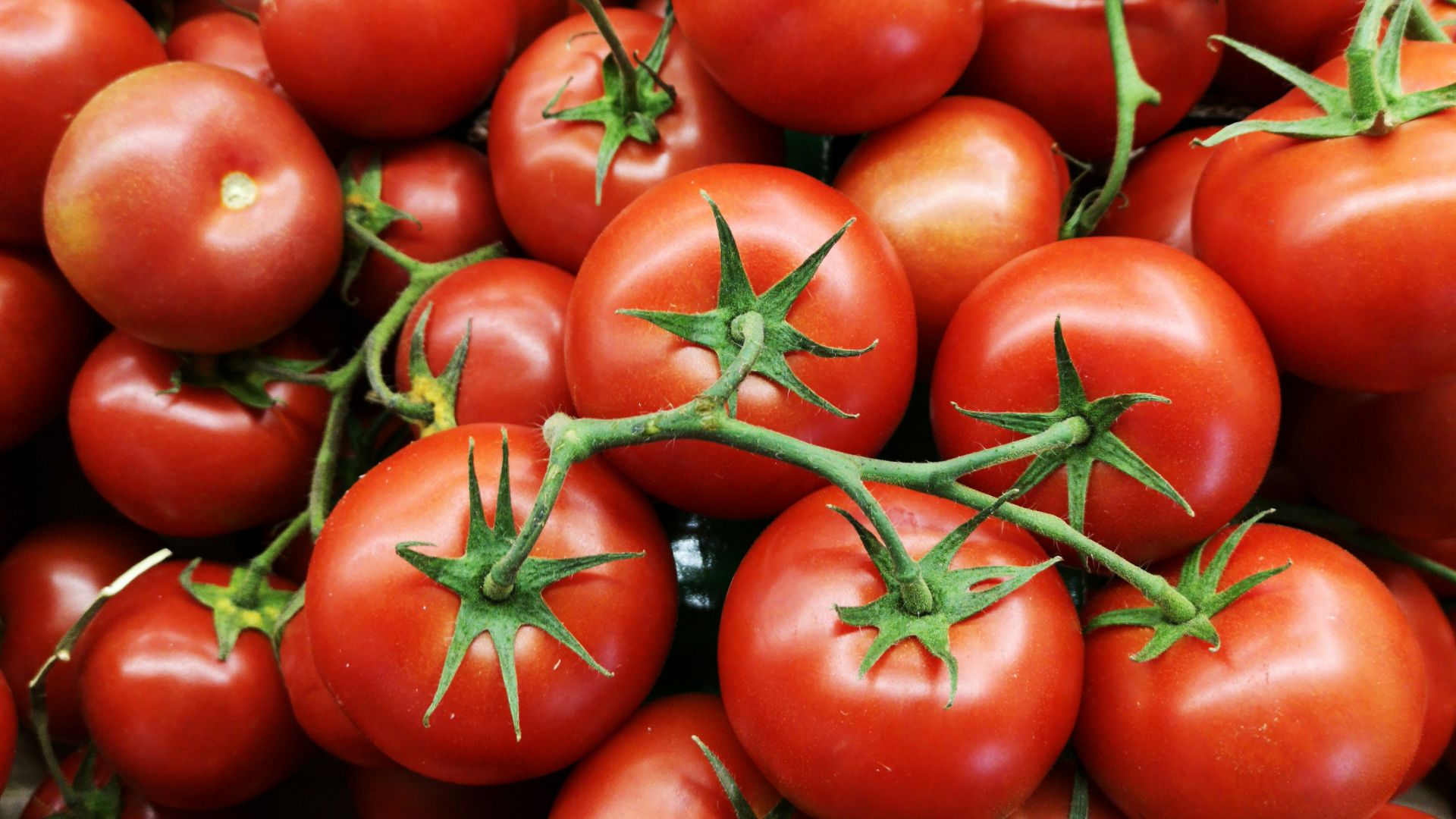 red tomatoes on brown wooden table