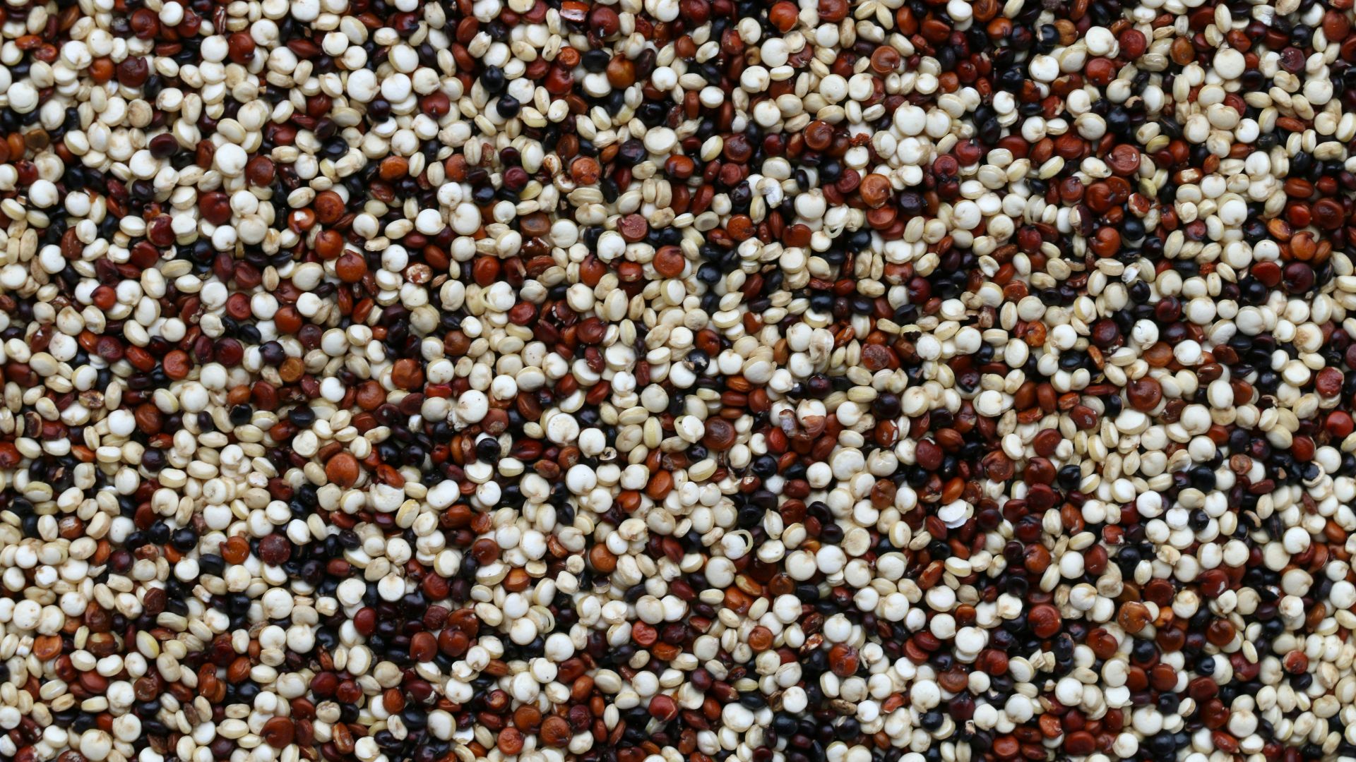 brown and white pebbles on ground
