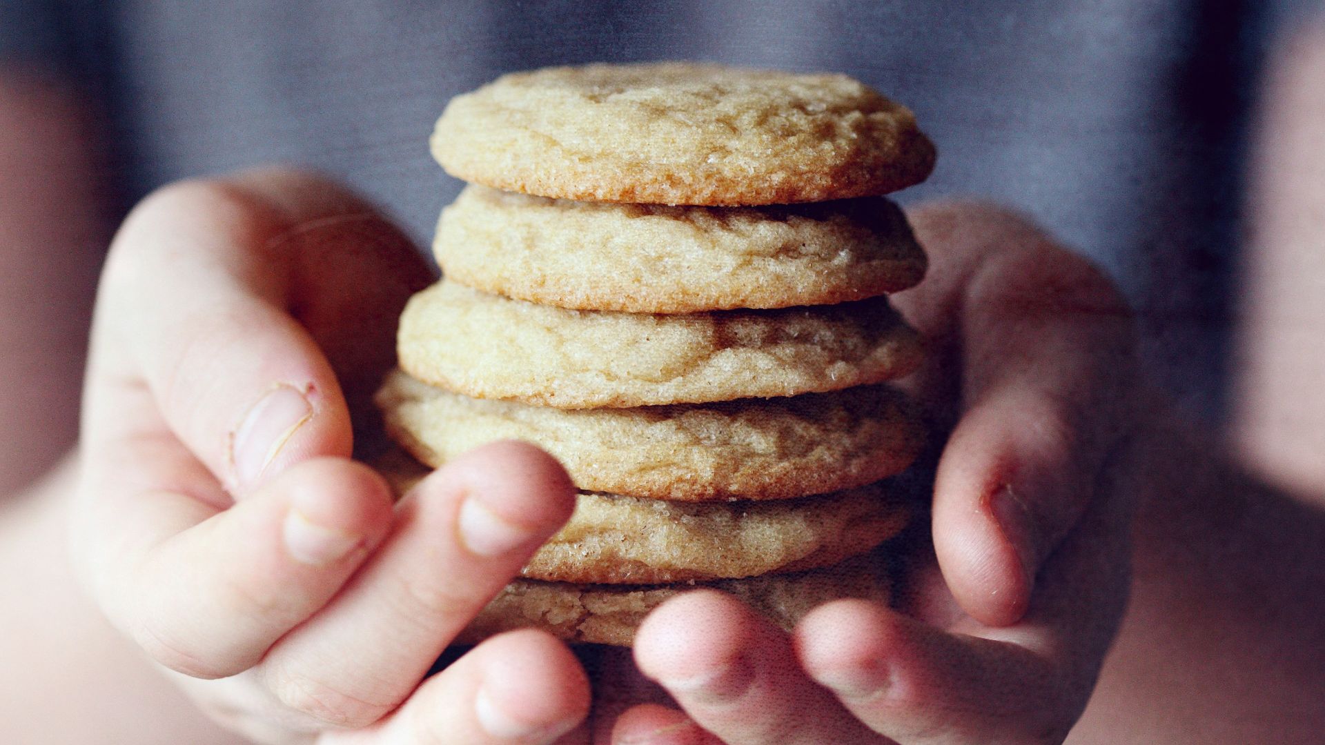 person holding brown cookies in close up photography