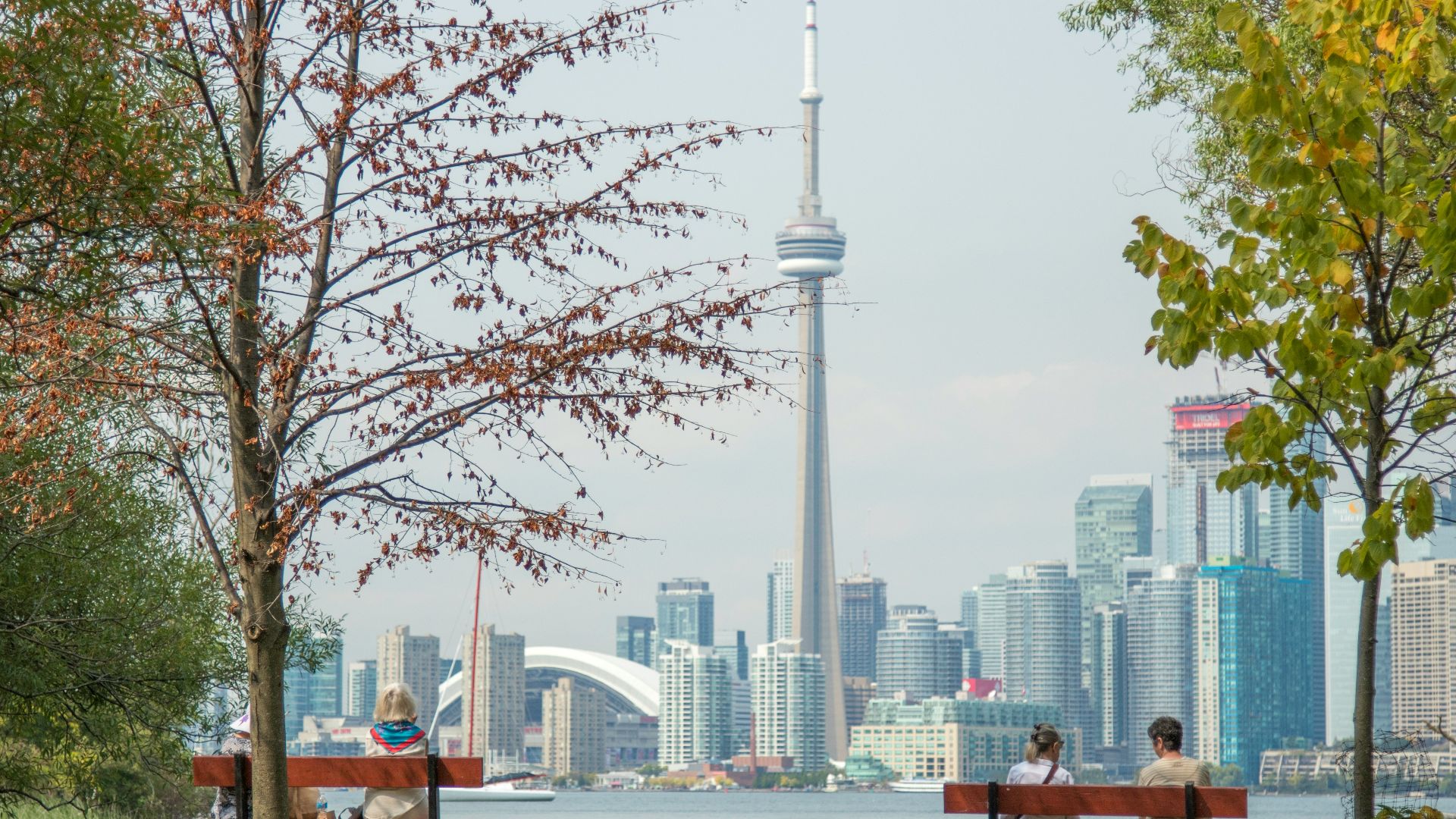 four people sits on park benches across city scape