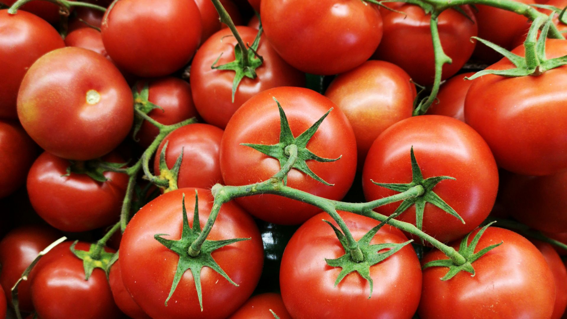 red tomatoes on brown wooden table