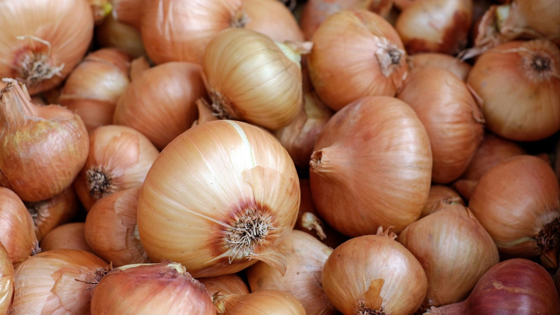 white garlic on brown wooden table