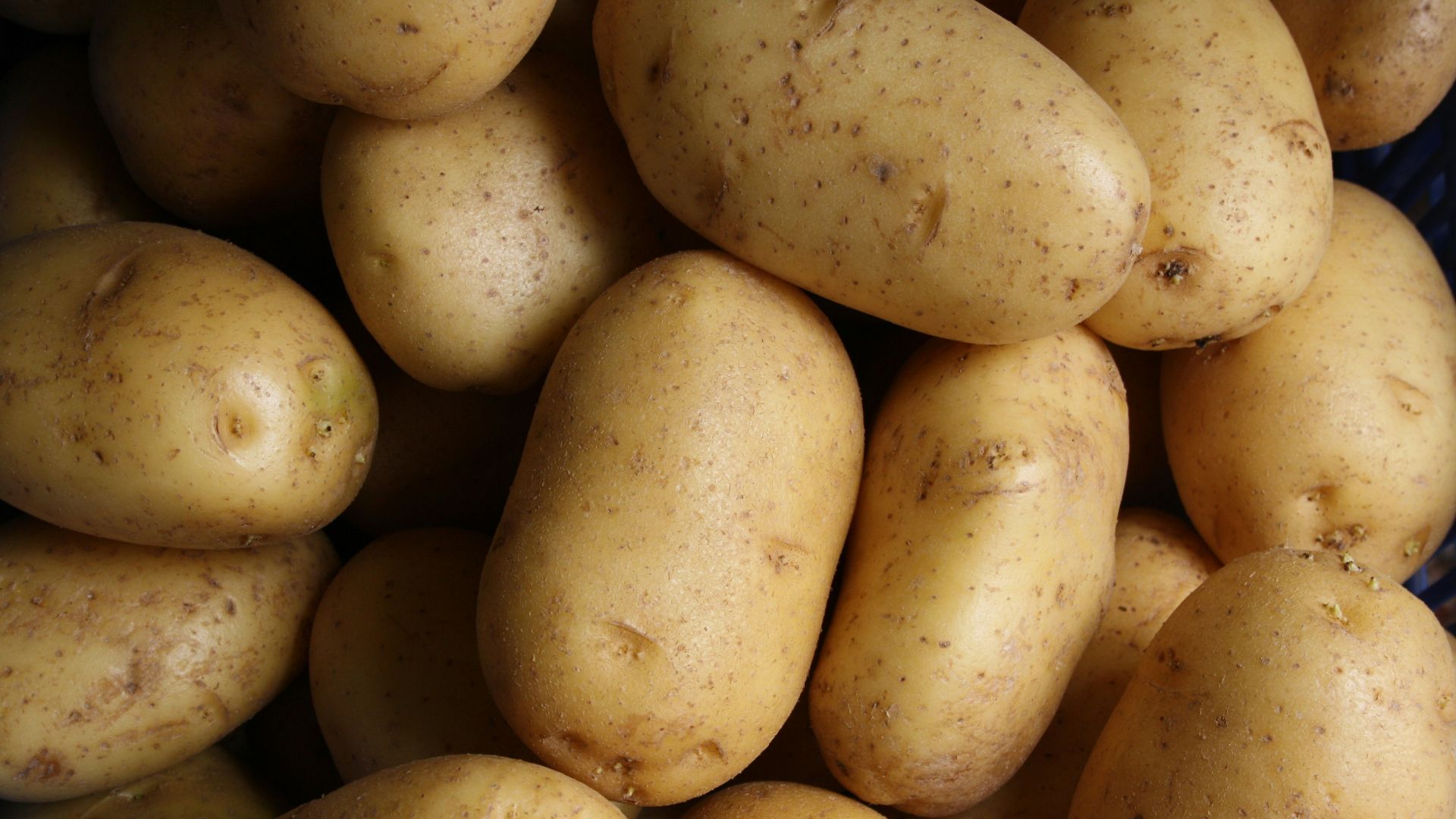 brown potato lot