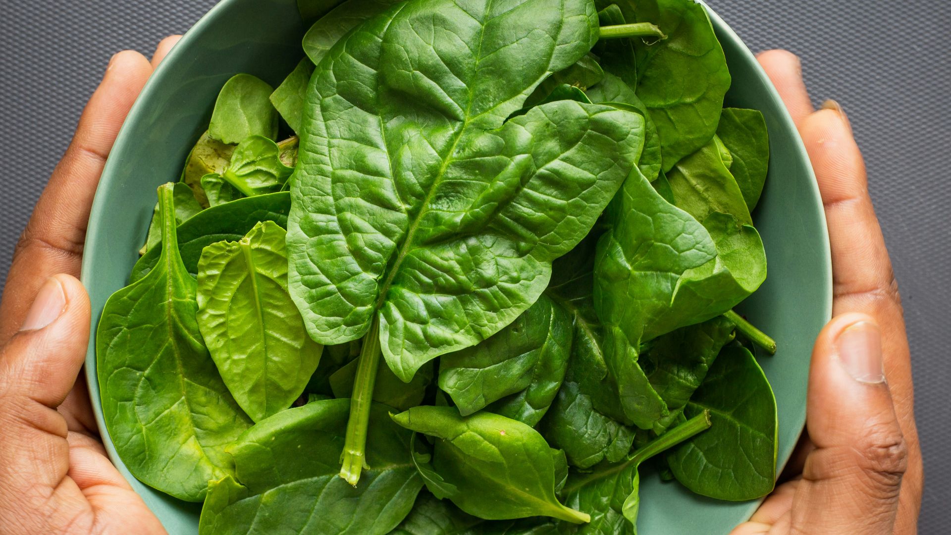 green leaves on blue plastic bowl