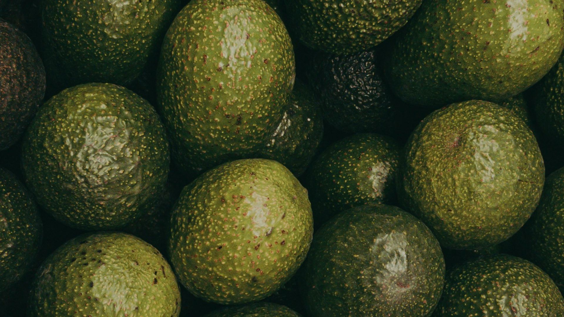 green and purple avocado fruit lot