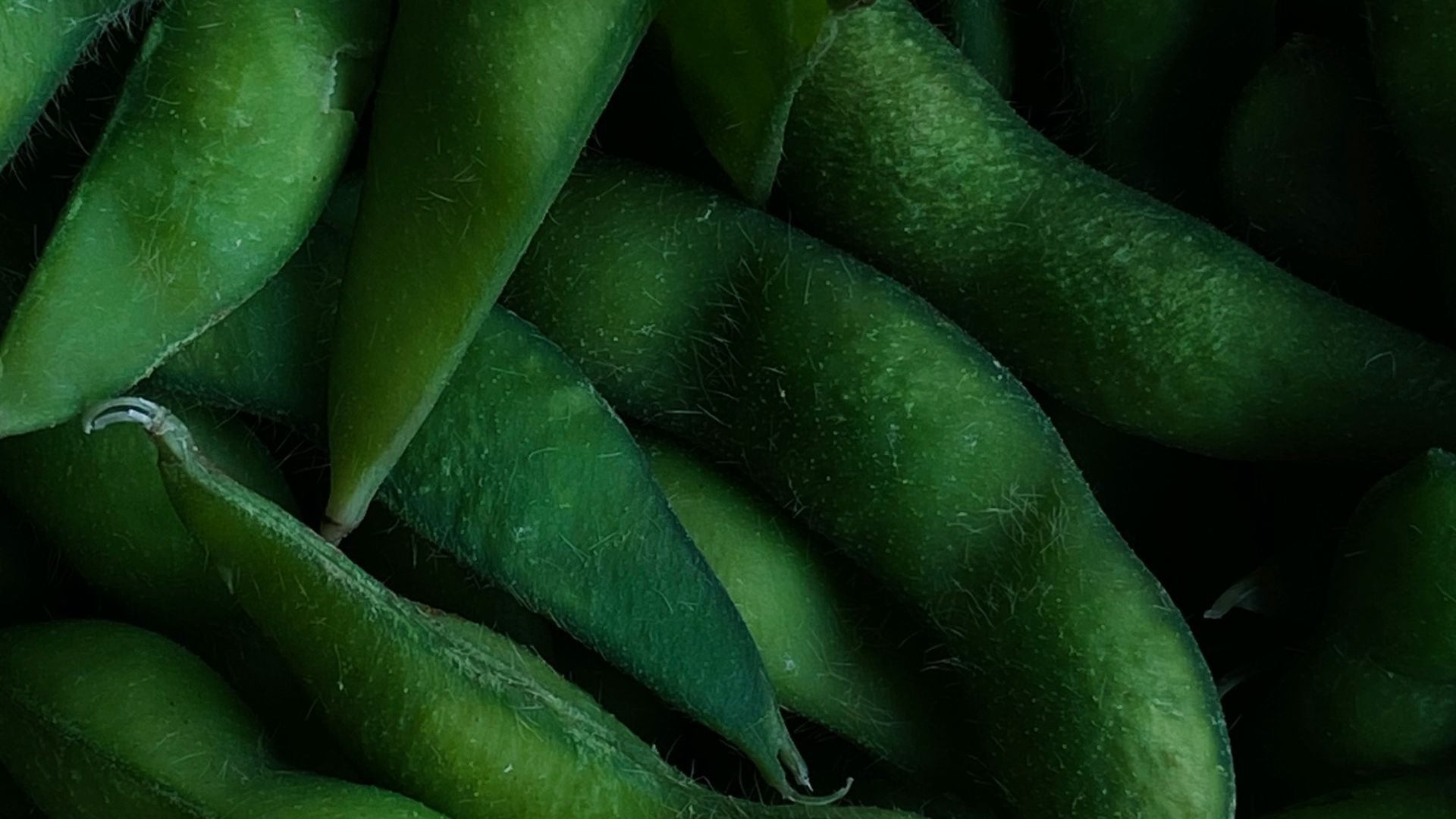 a pile of green beans sitting next to each other