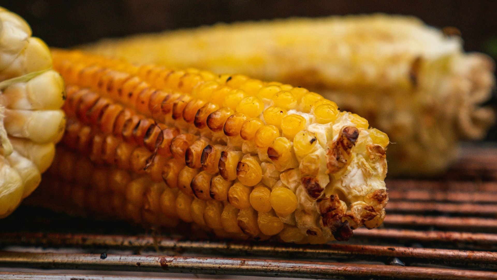 yellow corn on stainless steel tray