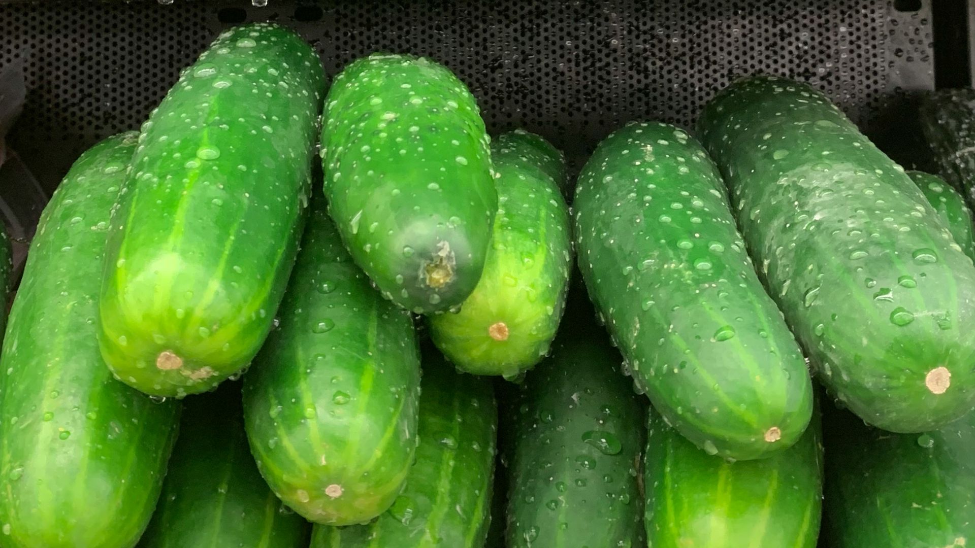 a display of cucumbers in a grocery store