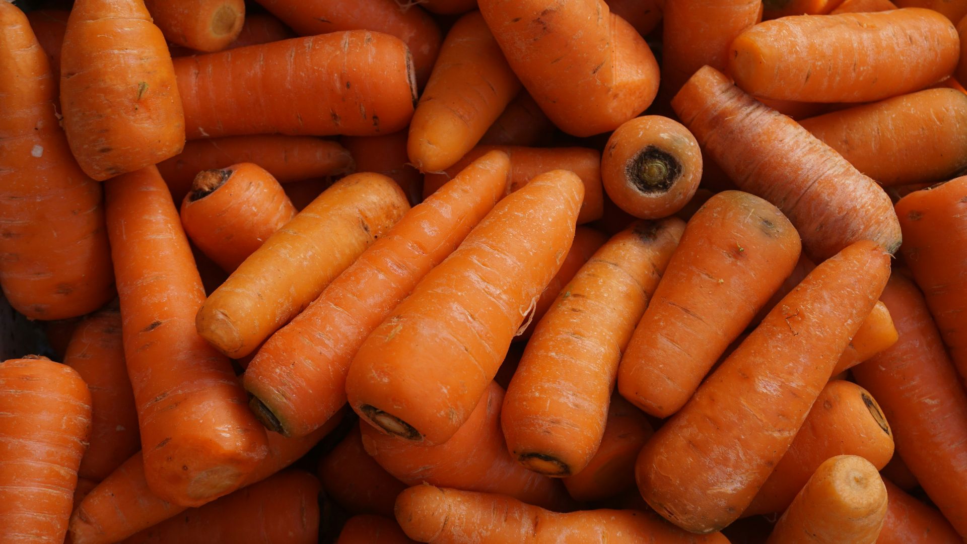 orange carrots on black surface