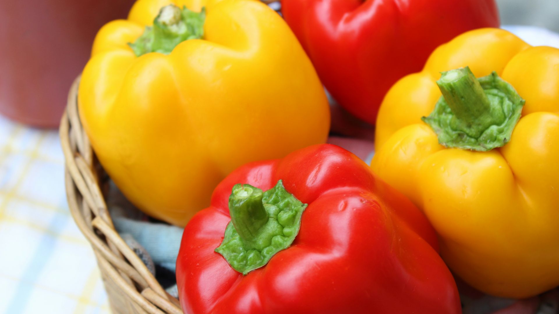 red and yellow bell peppers in brown woven basket