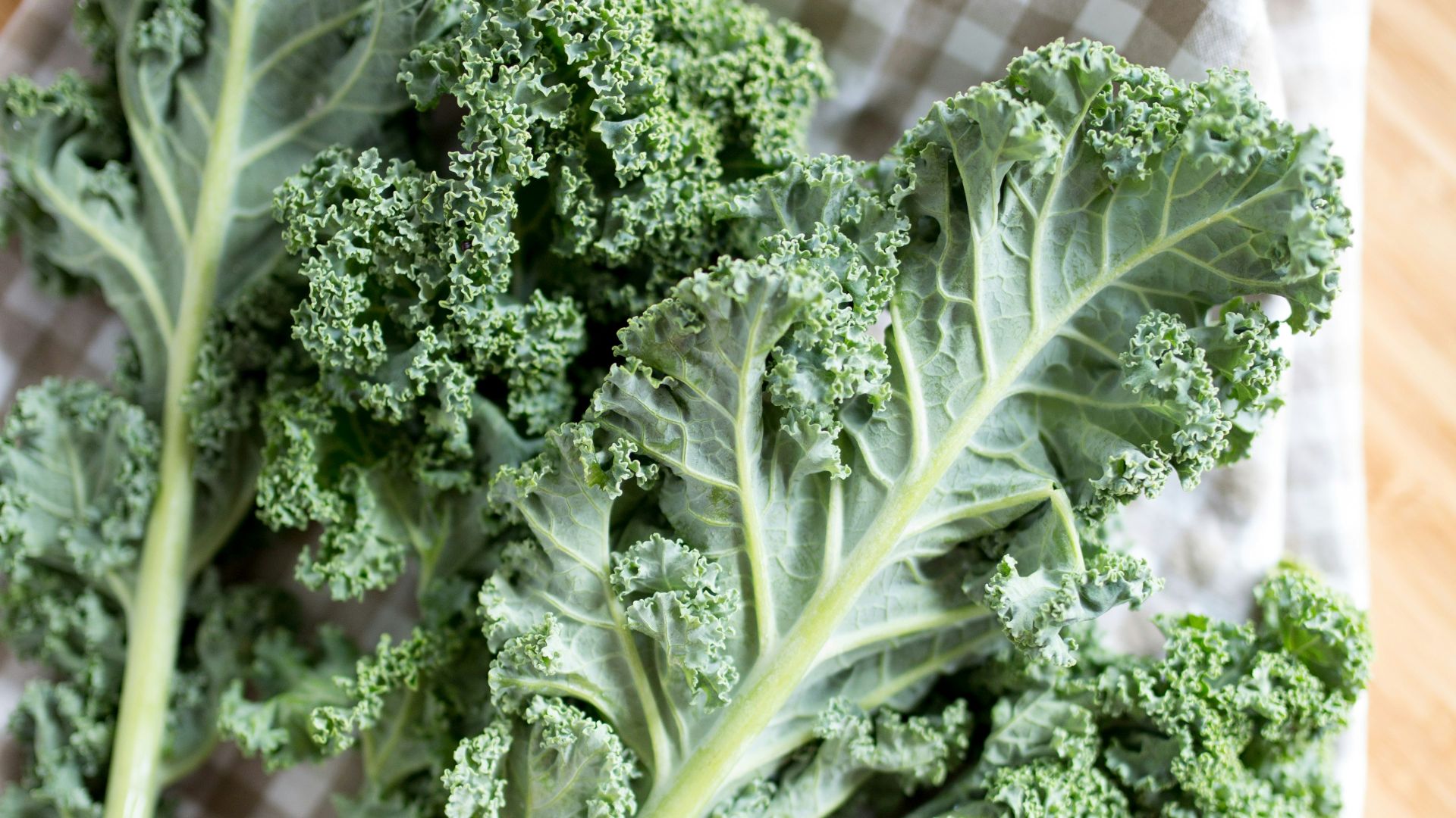 green leaf vegetable