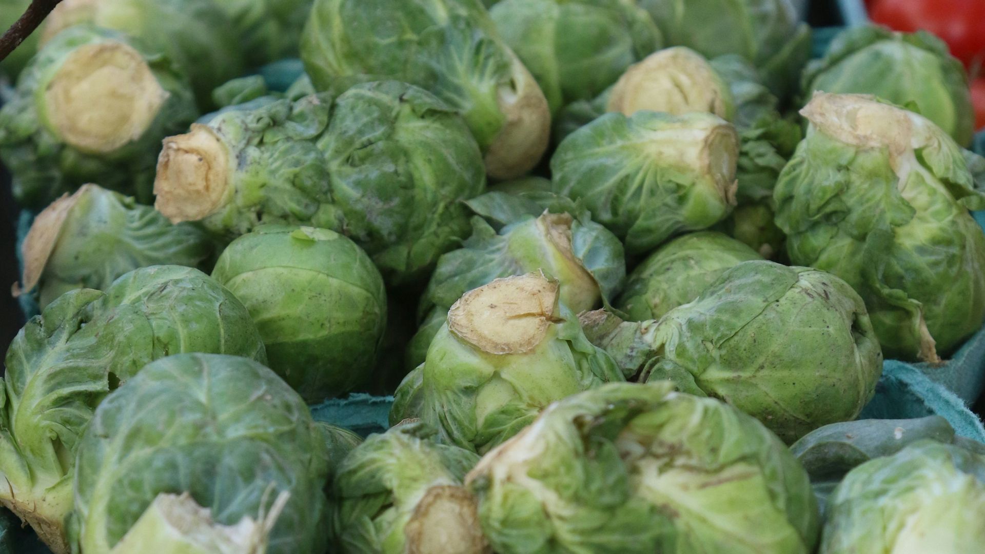 a bunch of vegetables that are on display
