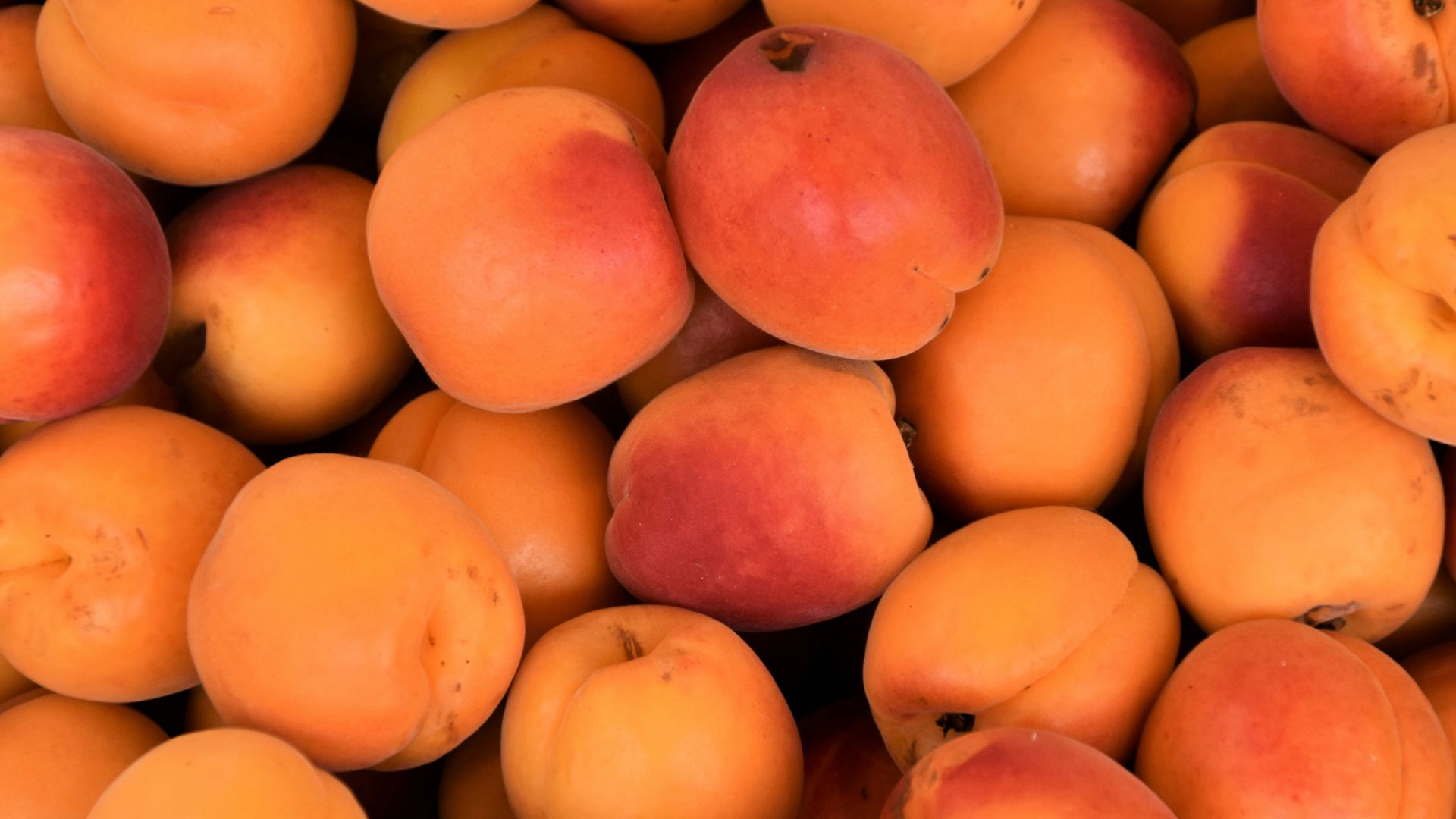 yellow and red round fruits
