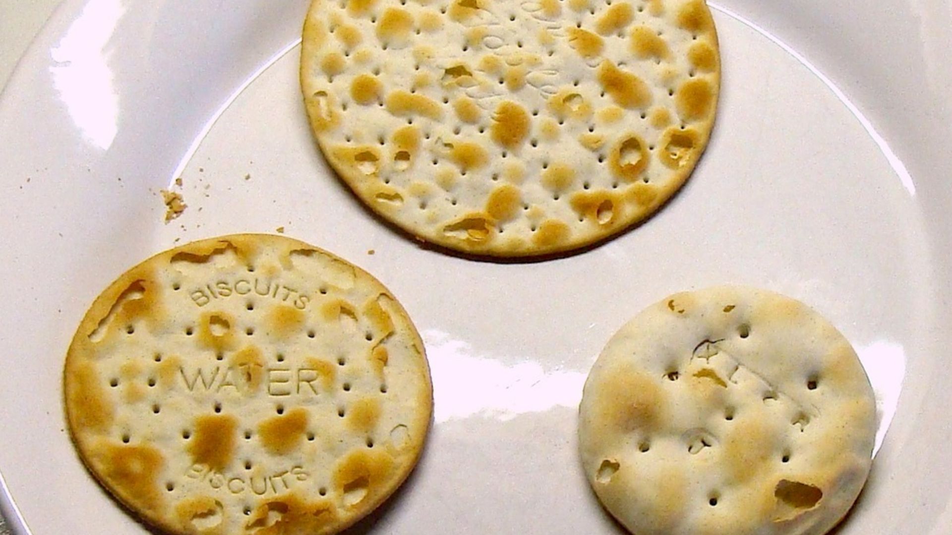 File:WaterBiscuit-Trio.jpg