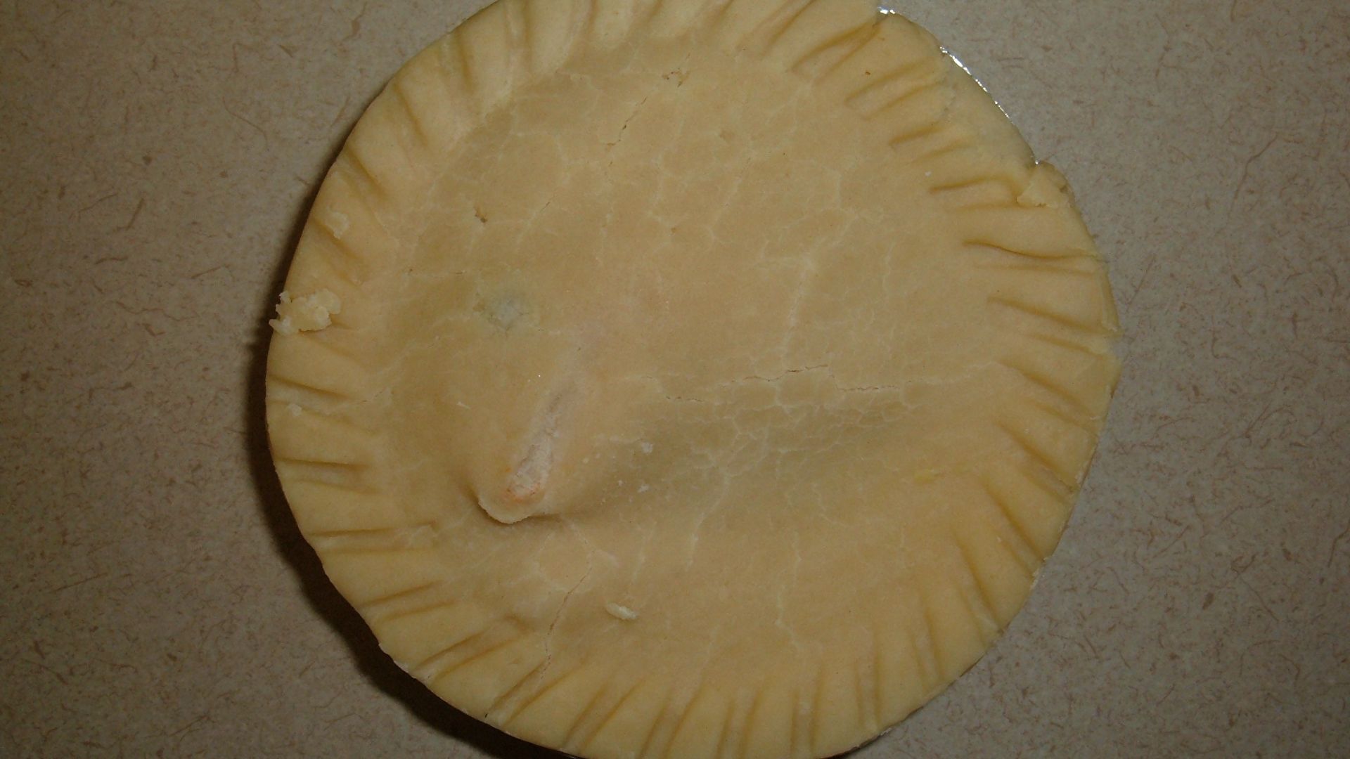 File:Frozen MC chicken pot pie.JPG