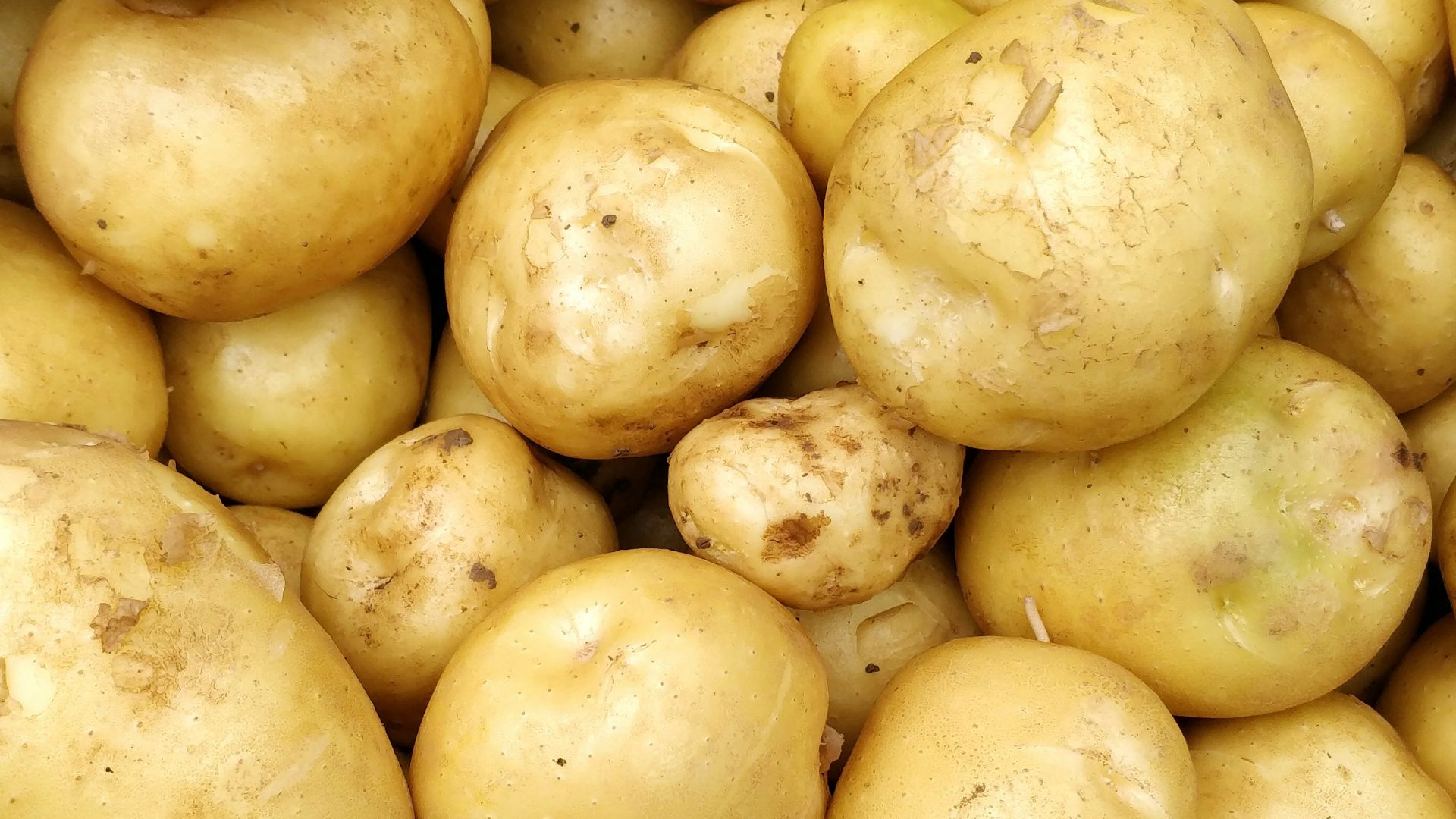 a pile of potatoes sitting next to each other