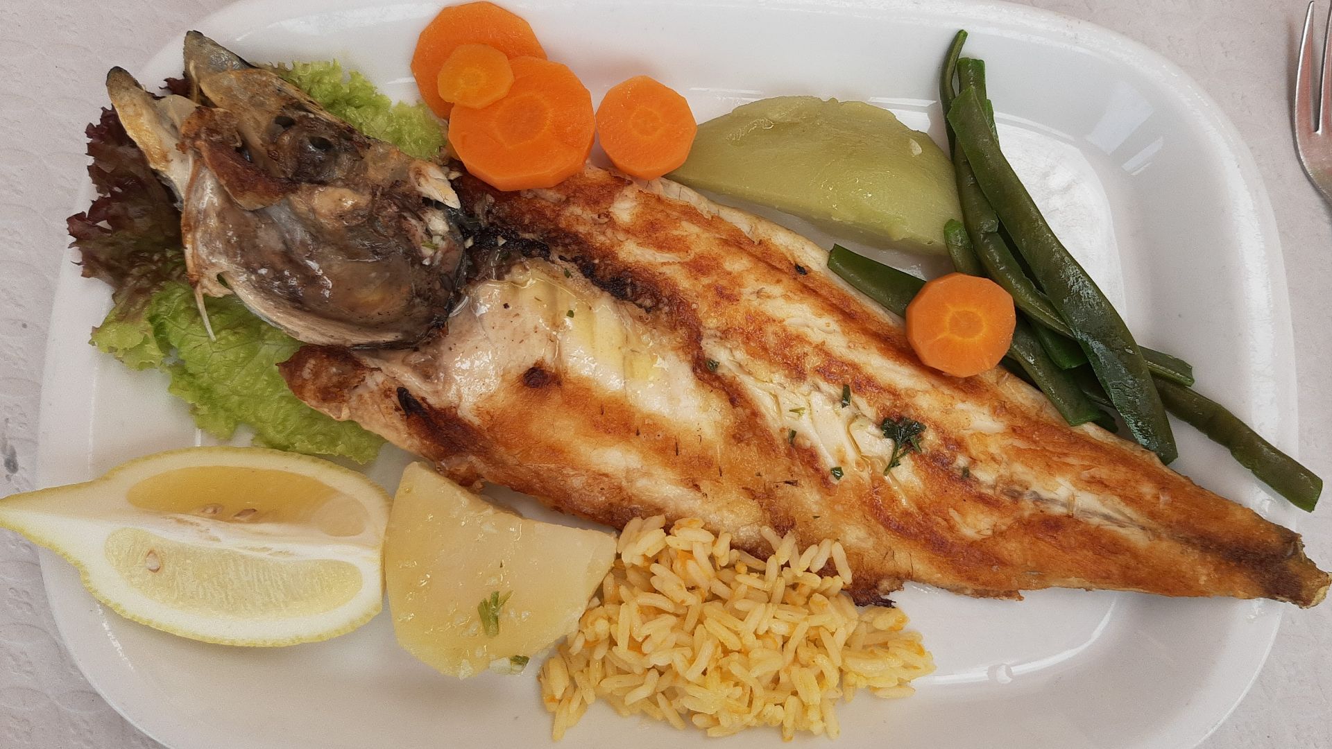 File:Sea bass, São Vicente, Madeira.jpg