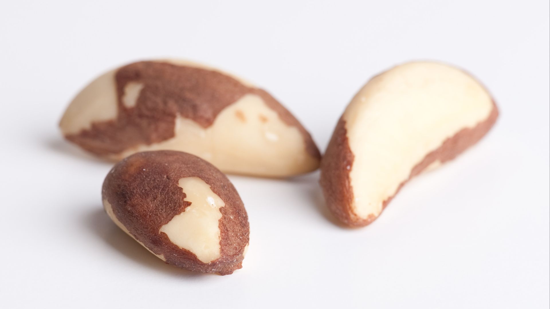 File:Bertholletia excelsa seeds closeup.jpg