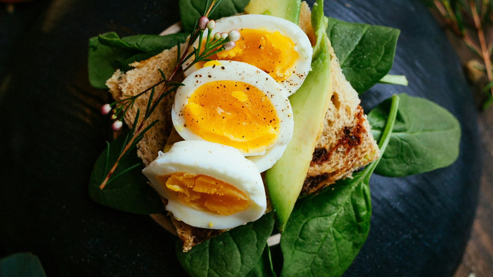 sandwich with boiled egg