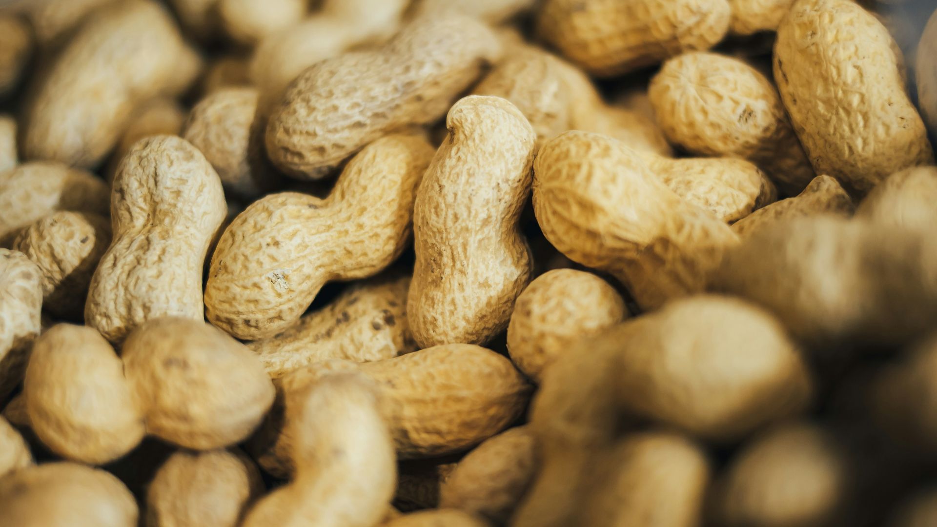 pile of peanuts