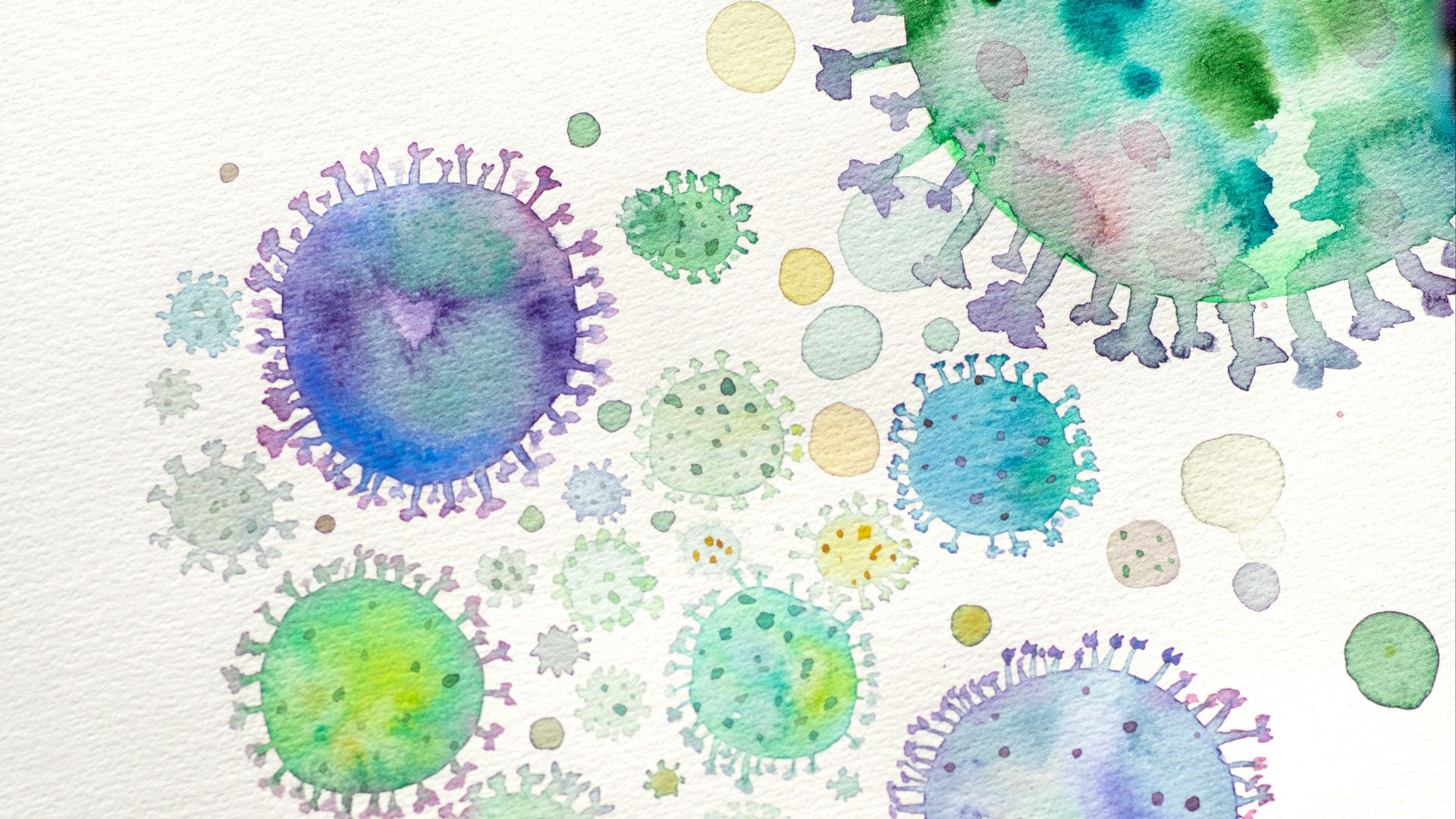 purple and black round textile