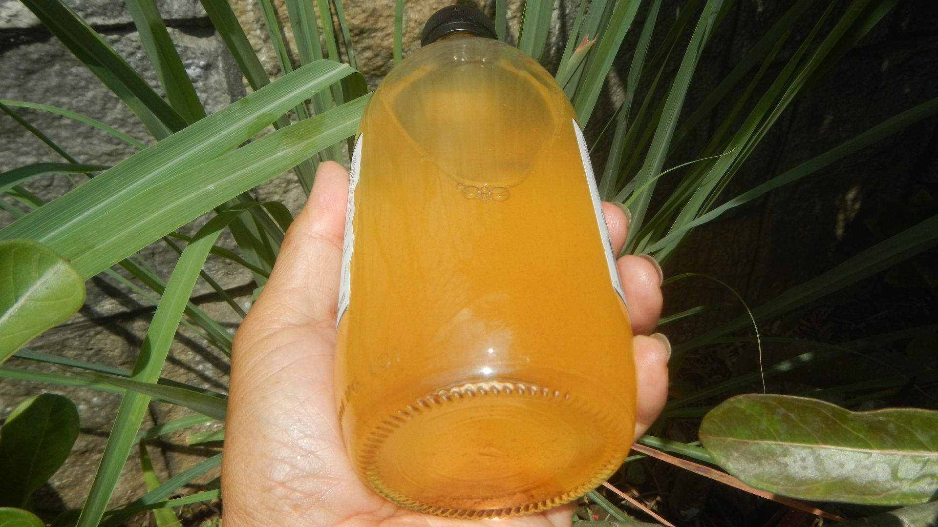 File:9896Barnes Naturals Apple Cider Vinegar 05.jpg