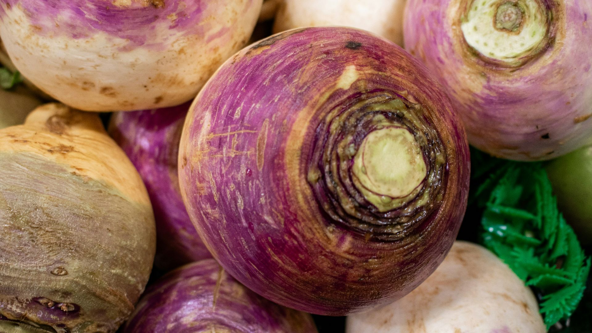 A pile of fresh purple and white turnips.