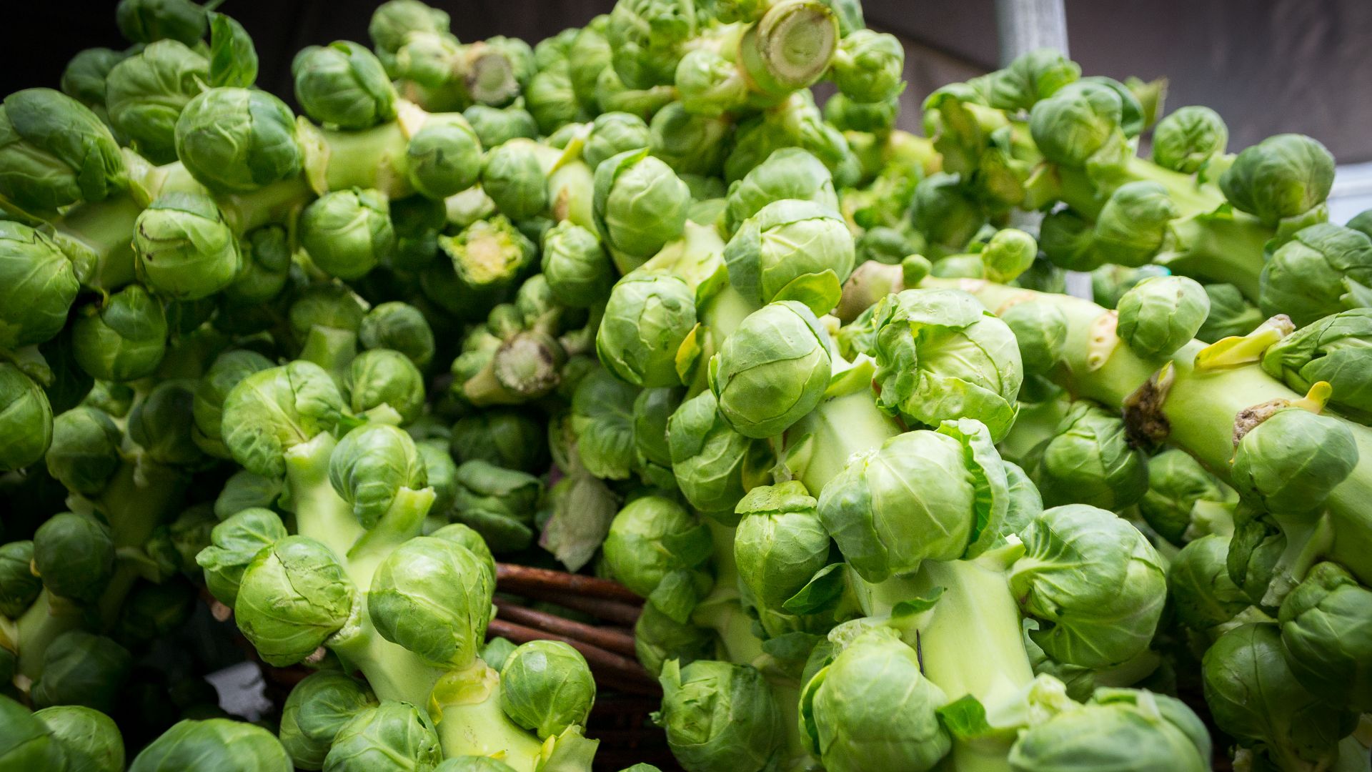 File:Brussels Sprouts.jpg