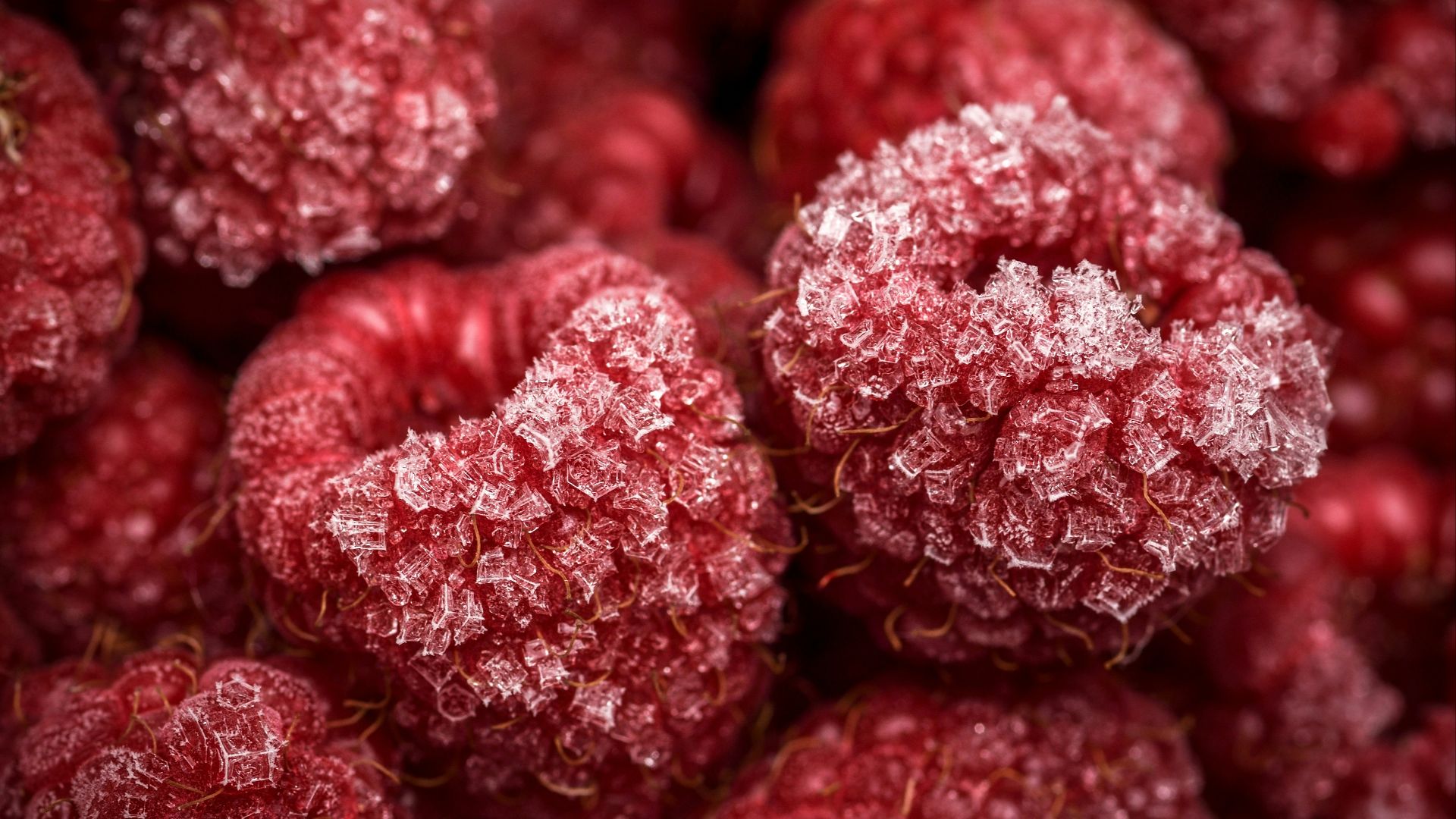 close-up photo of red fruits