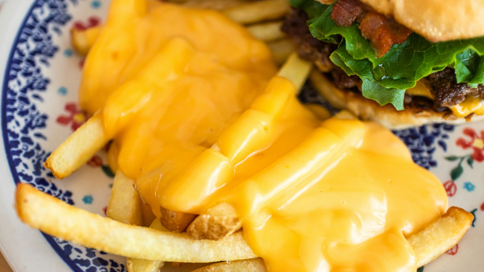 A plate with a hamburger and fries on it