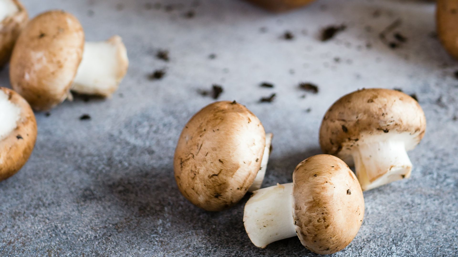 brown mushrooms on gray surface