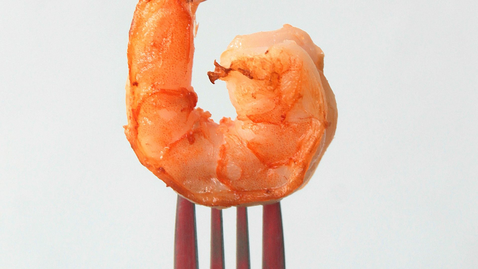 orange clay on stainless steel fork