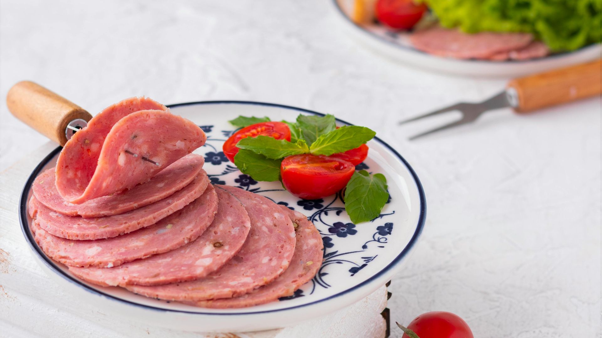 mahdisa ramezanzadeh