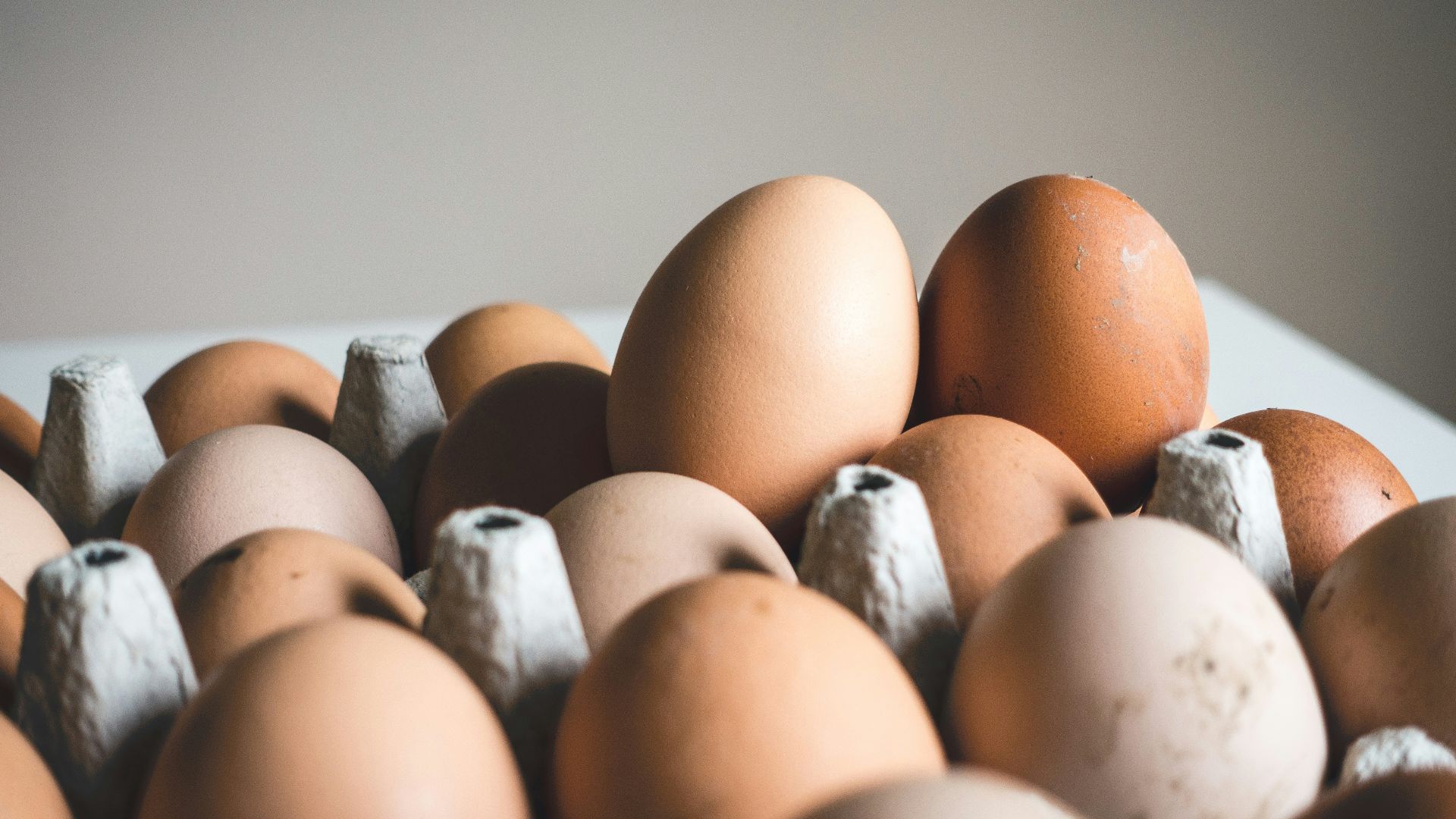 shallow focus photography of brown eggs