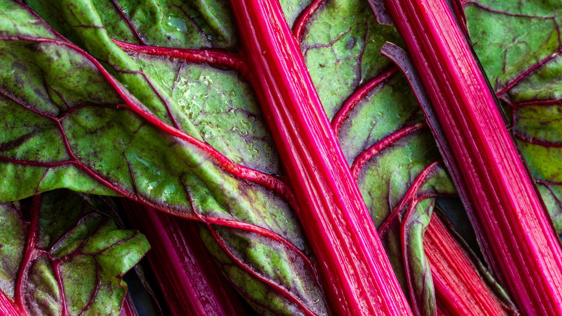 a close up of a bunch of red and green vegetables