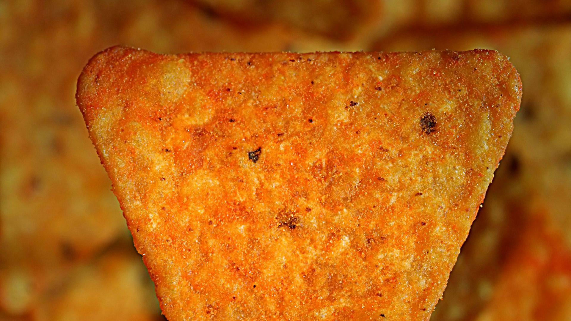 a close up of a slice of cheese pizza