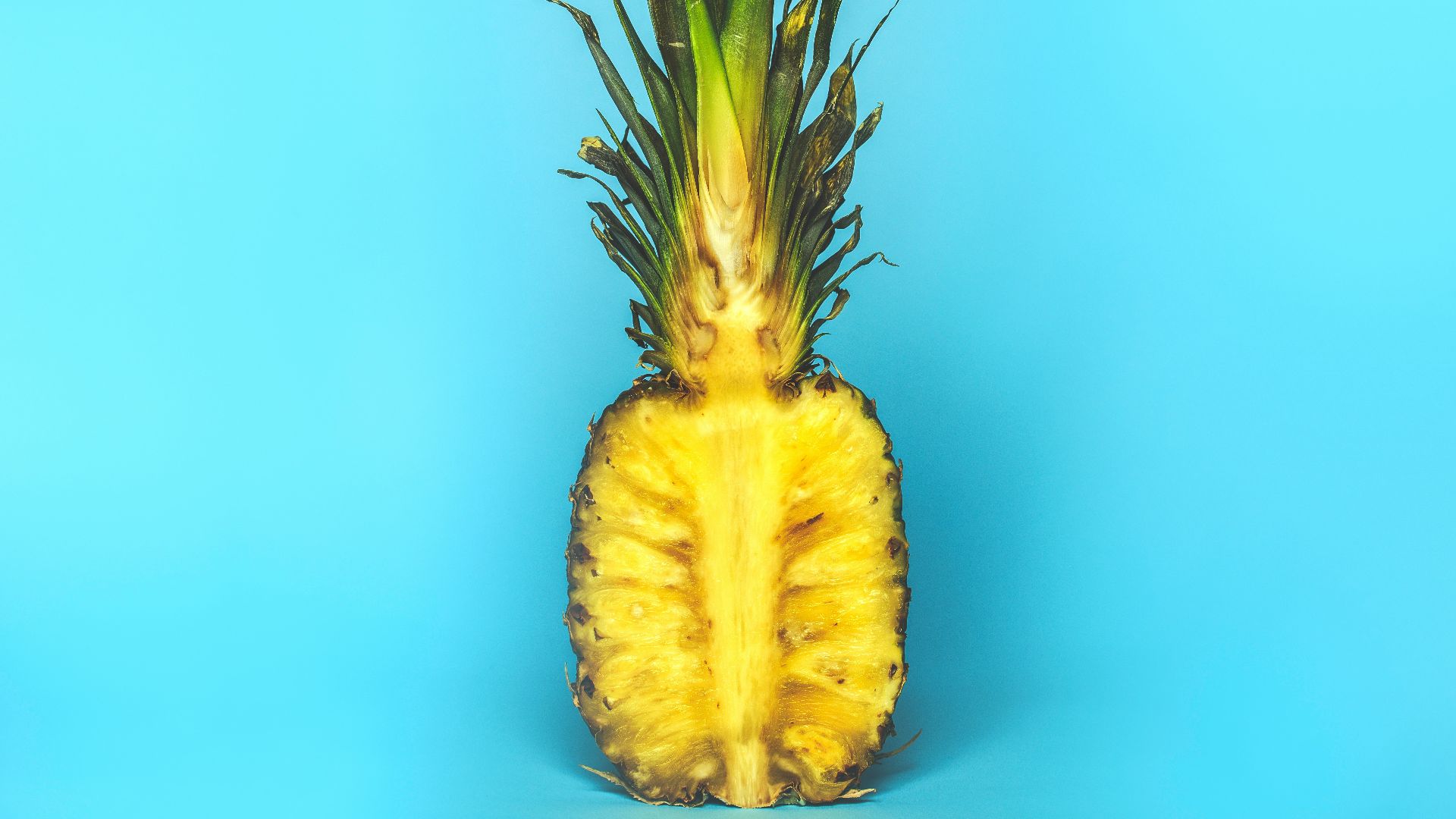 sliced pineapple fruit