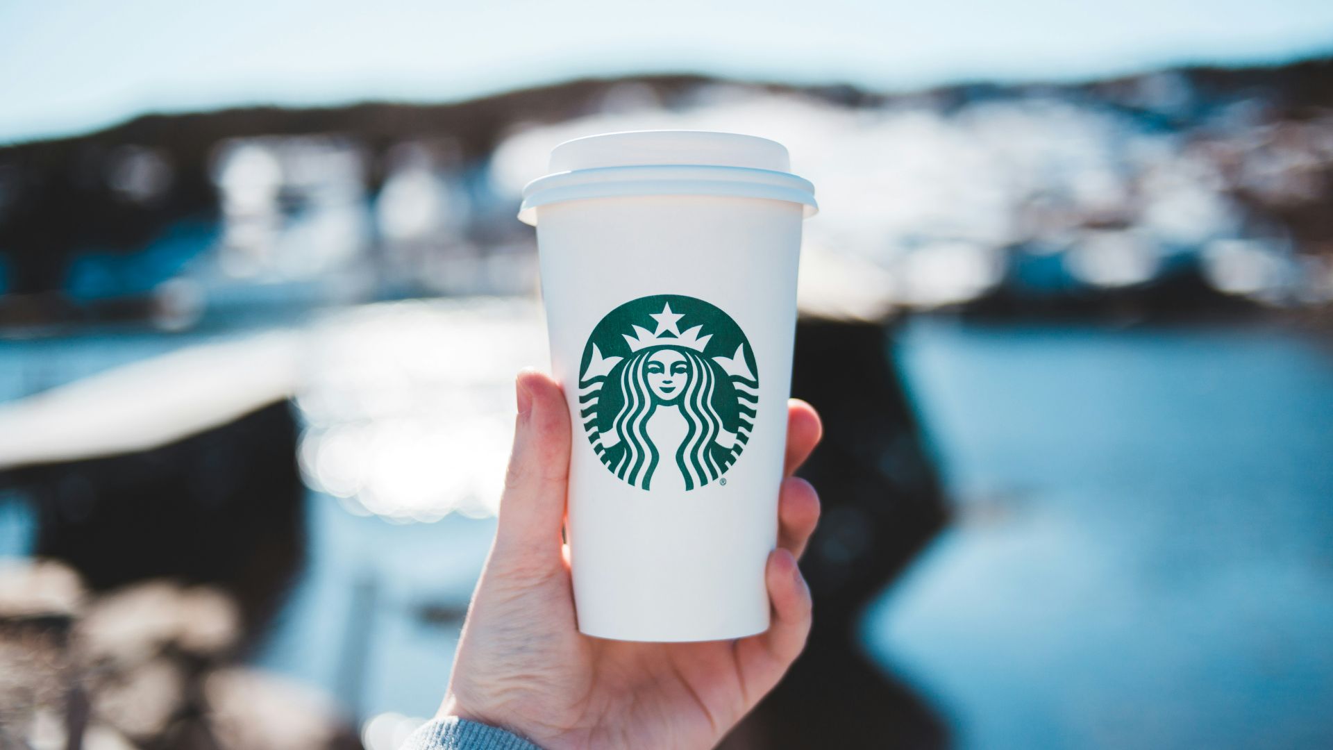 person holding white and green starbucks cup