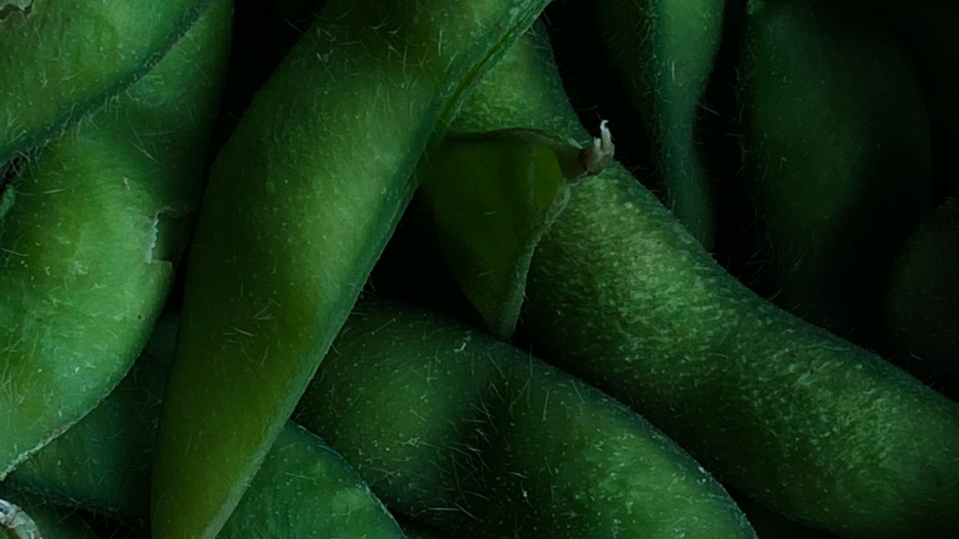 a pile of green beans sitting next to each other