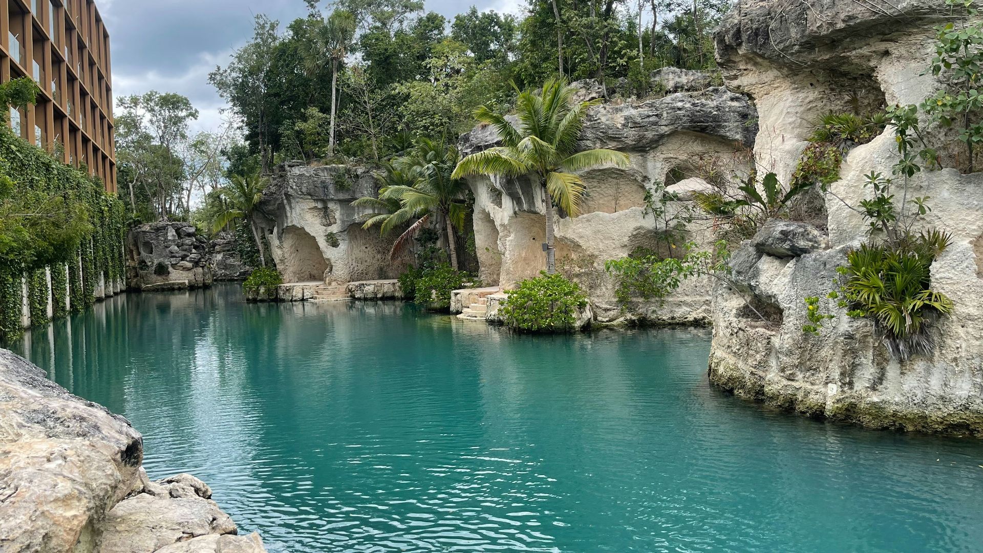 a large body of water surrounded by a lush green forest