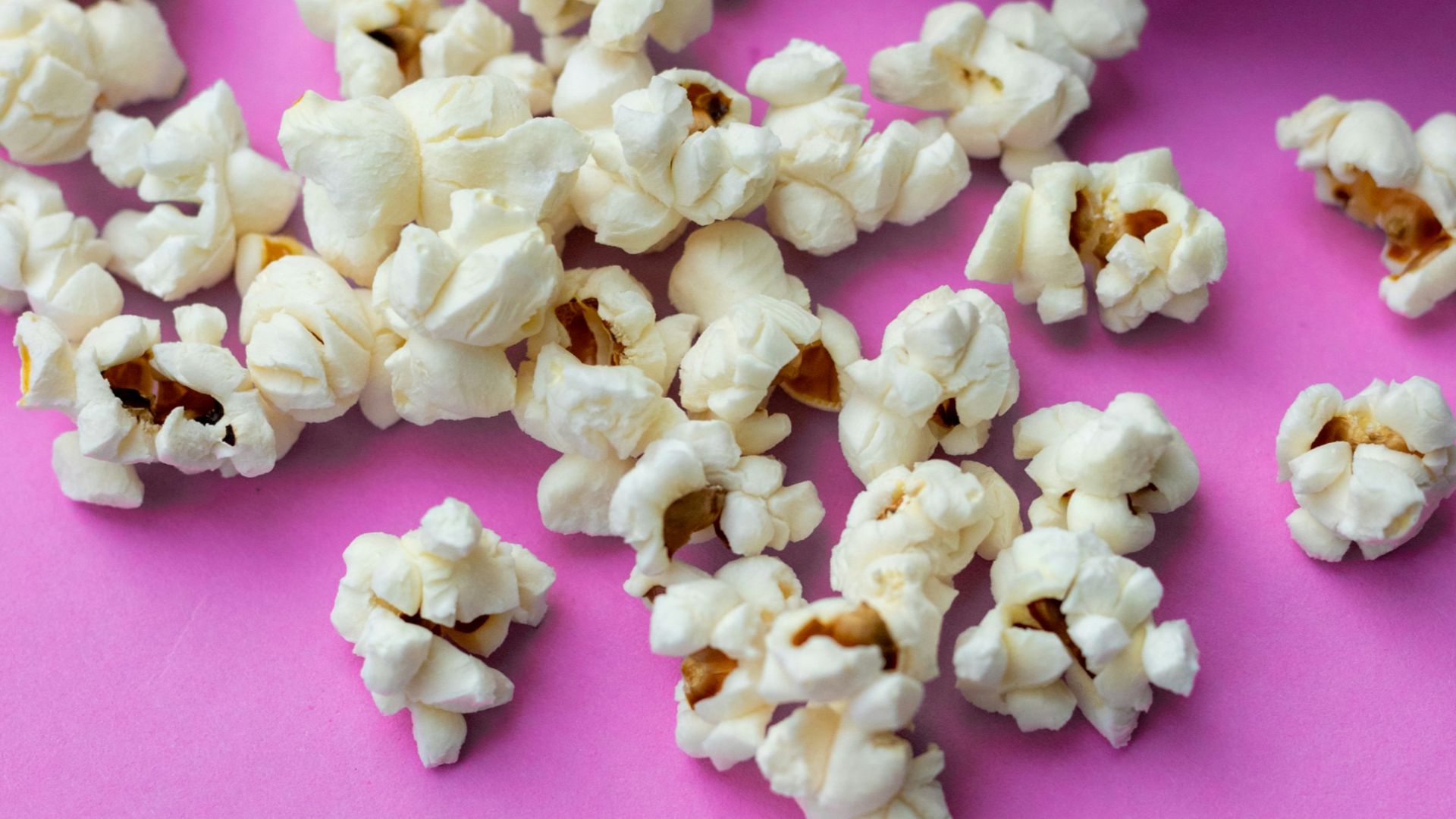 white and pink flower petals on pink surface