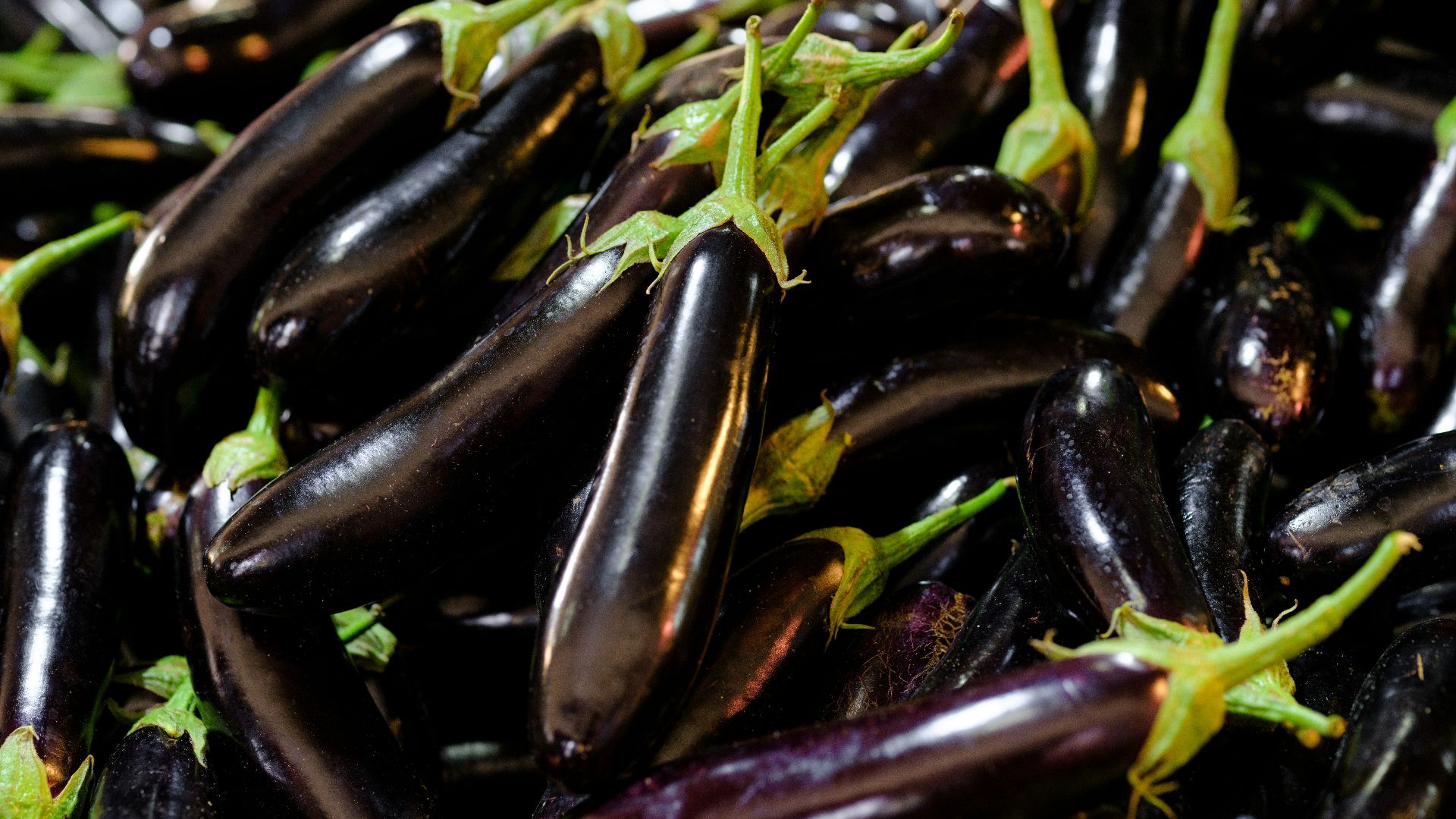 a pile of purple eggplant with green stems