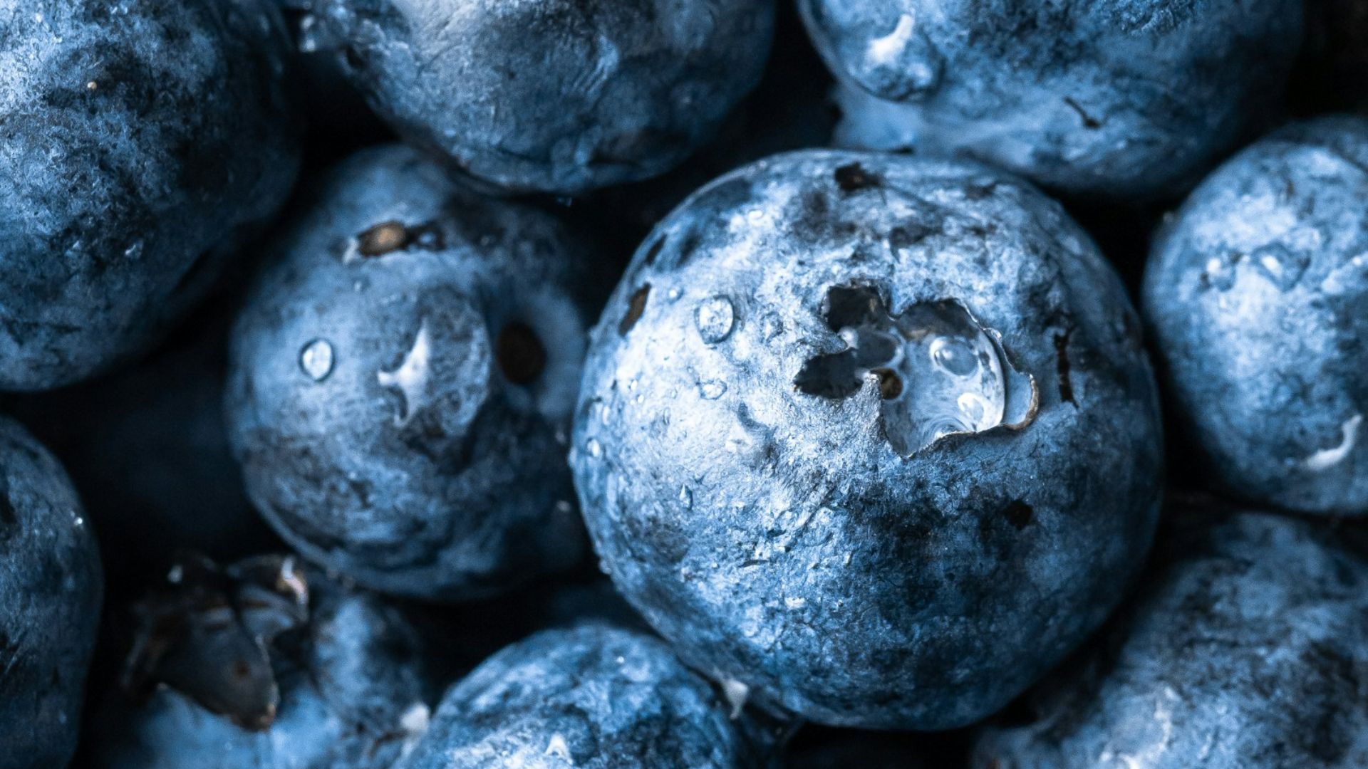 grayscale photography of round fruits