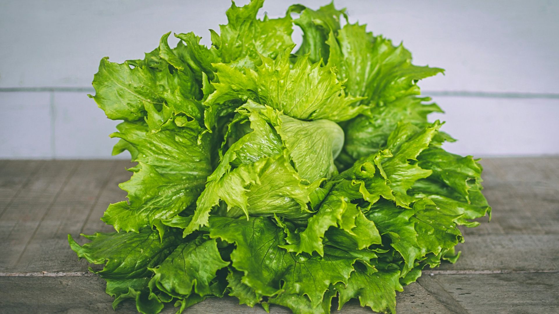 closeup photo of lettuce on gray surface