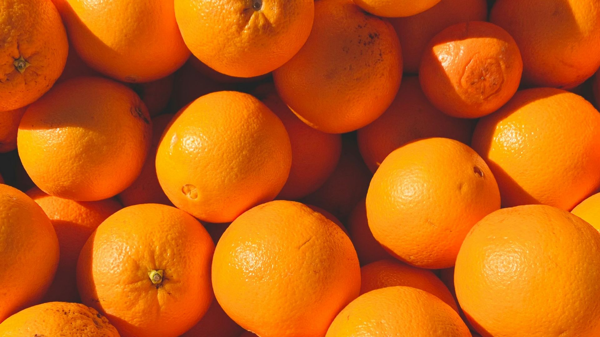 orange fruits on white ceramic plate