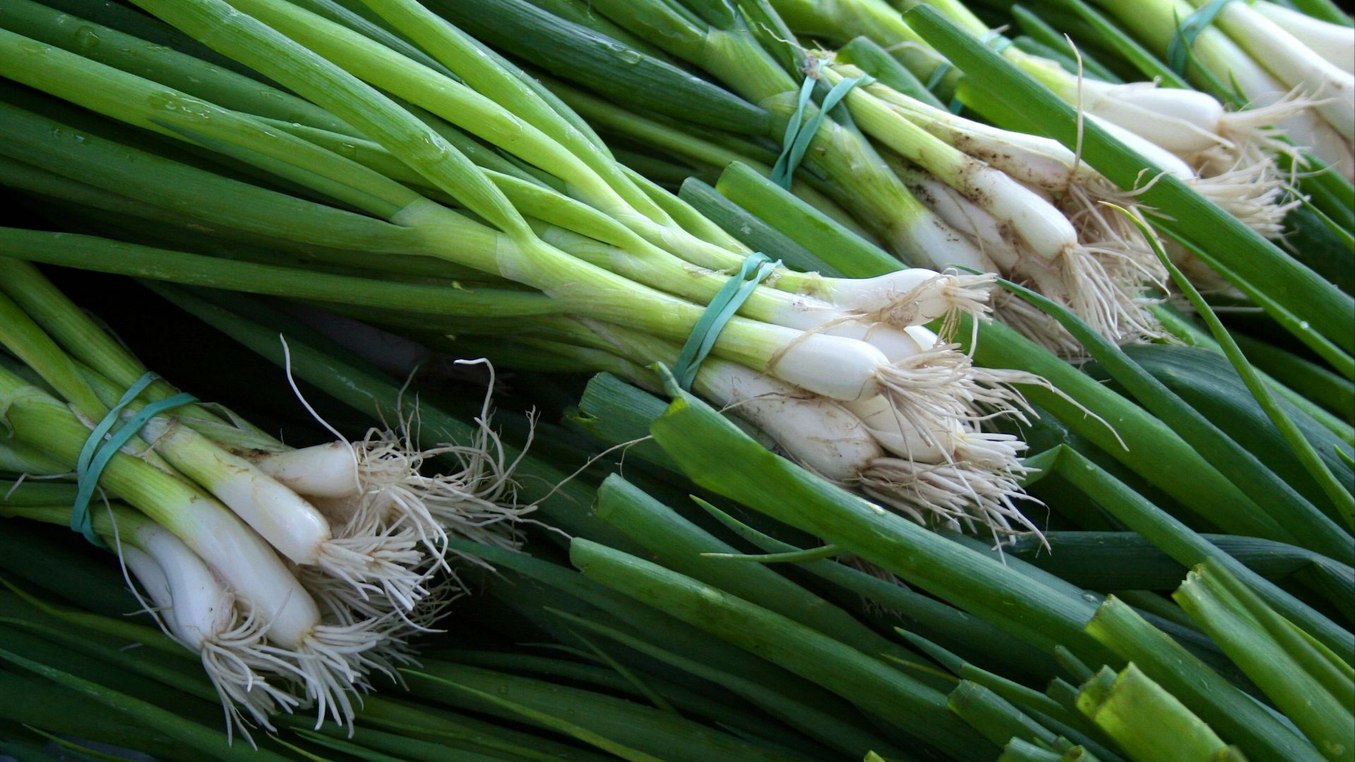 green and white vegetable on brown wooden table