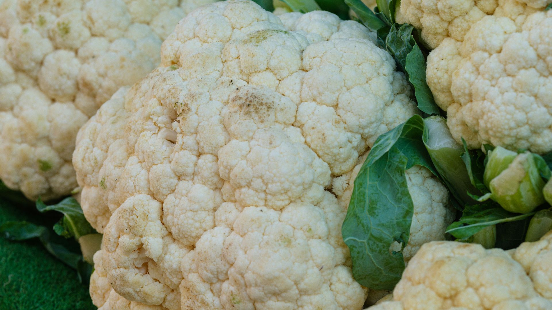 a close up of cauliflower on display for sale