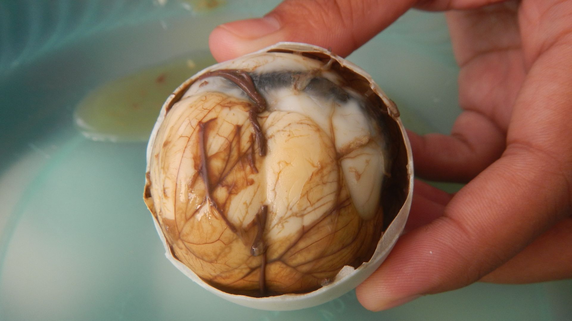 File:06749jfCuisine Foods Takoyaki cooking Balut Penoy Baliuag Bulacanfvf 22.jpg