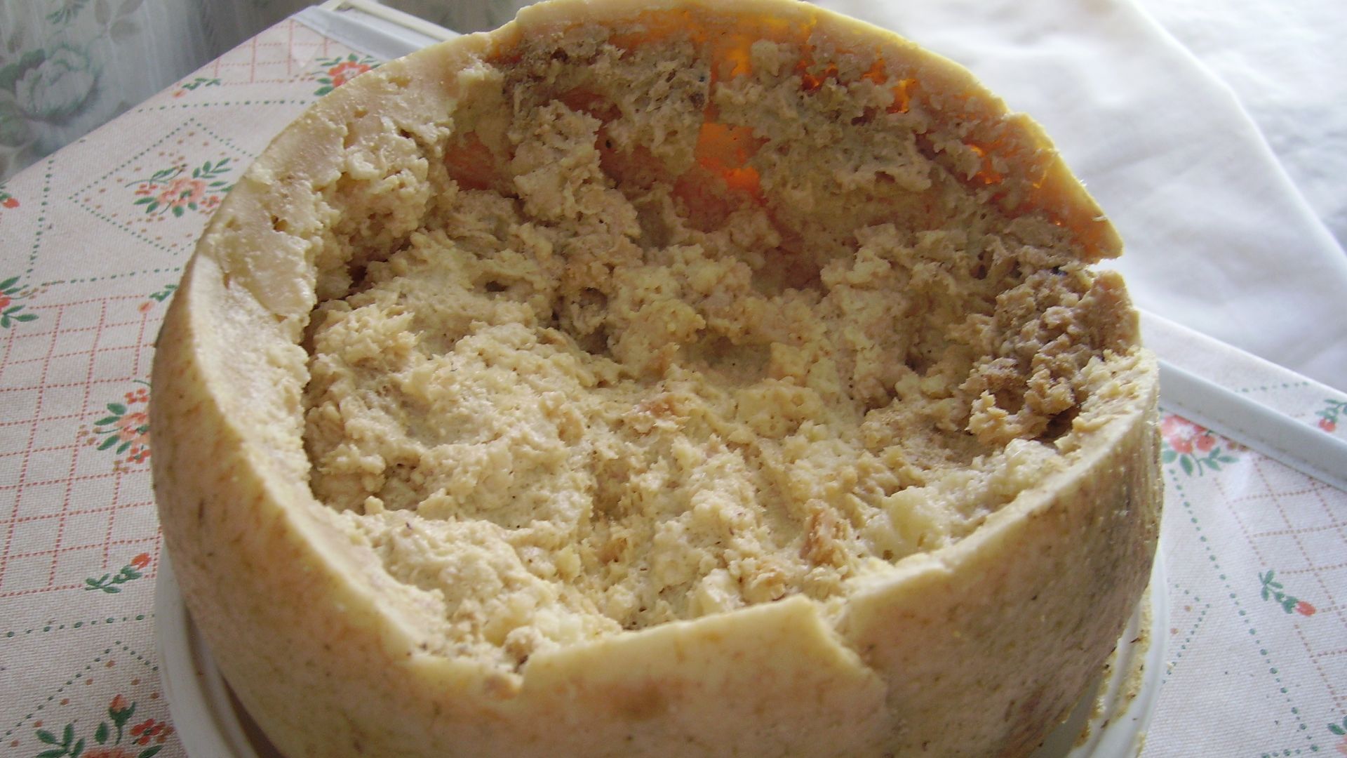 File:Casu Marzu cheese.jpg