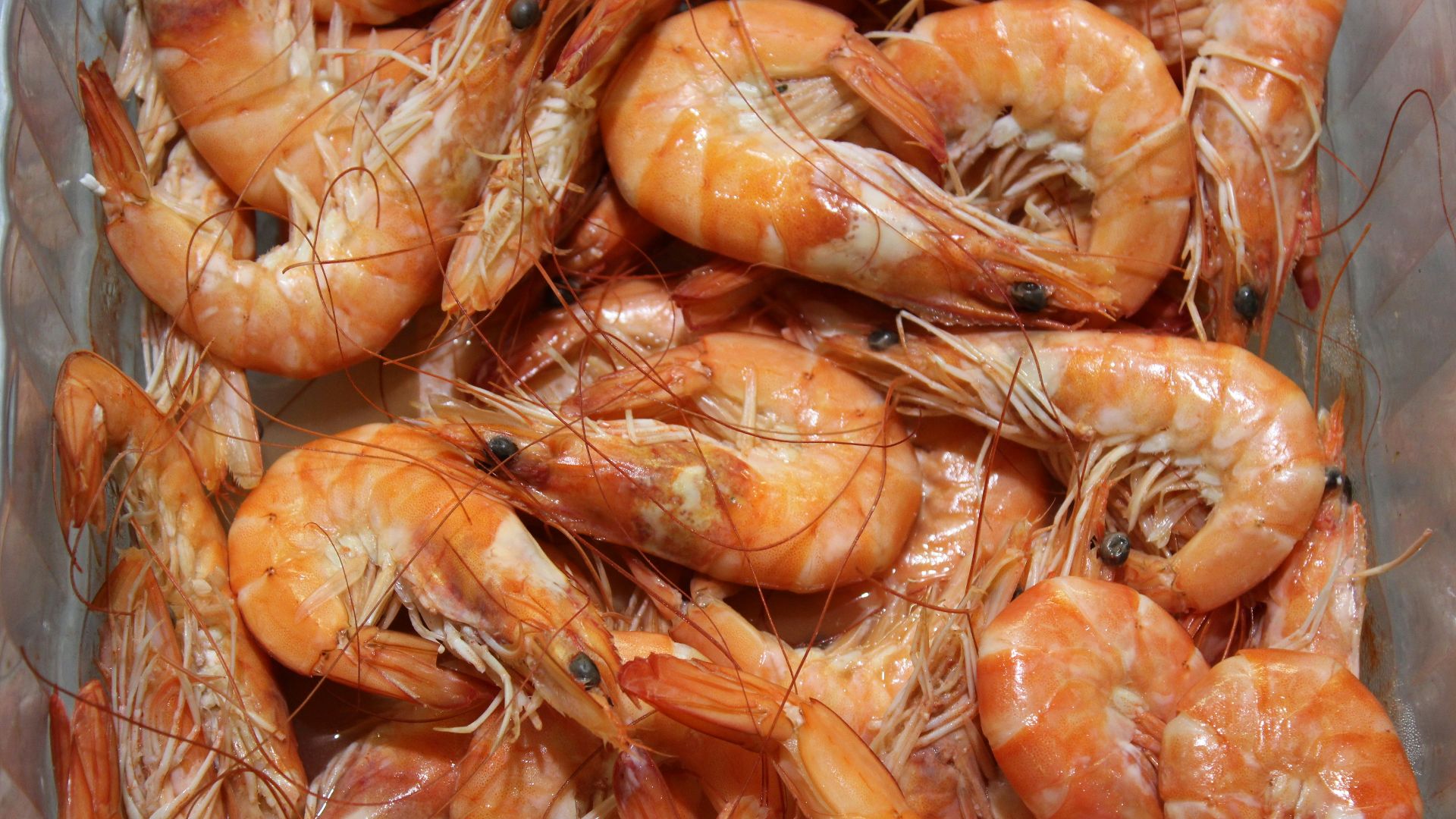 a plastic container filled with lots of shrimp
